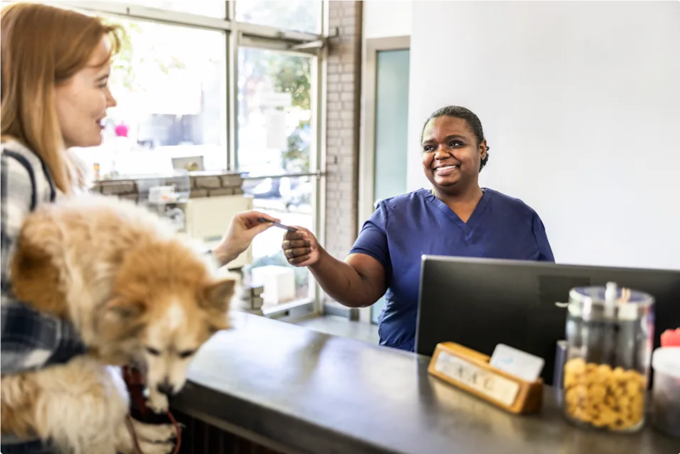 Figo Pet Insurance Review: A Combination of Flexible Protection and Digital Services
